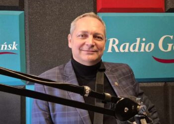 Remont drogi w gminie Główczyce. W kolizji z planami – aleja 150-letnich drzew