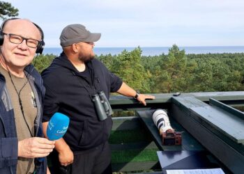 Dywanowe naloty ptaków na Górze Pirat i zaproszenie na piknik