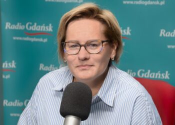 Park kulturowy w Gdańsku będzie funkcjonować od przyszłych wakacji? Trwają konsultacje