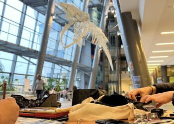 Urban Sketchers Gdańsk – spotykają się, żeby wspólnie rysować