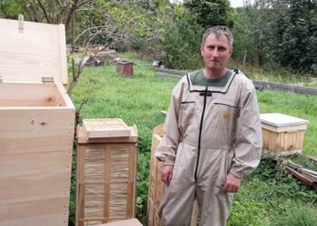 Czy dzikie pszczoły wrócą do lasu? Budki dla nich wieszane są na drzewach w Nadleśnictwie Gdańsk