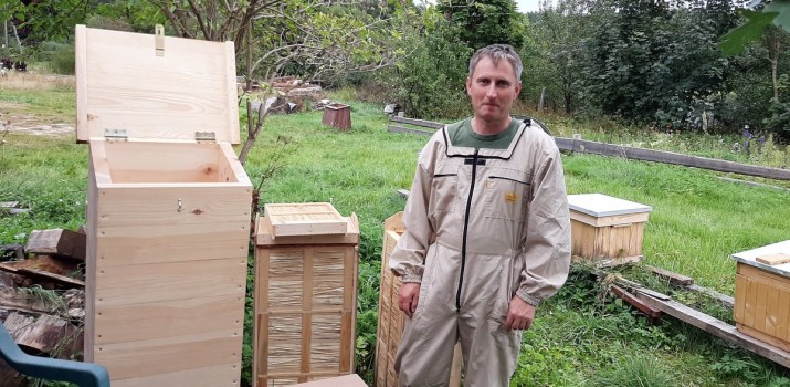 Czy dzikie pszczoły wrócą do lasu? Budki dla nich wieszane są na drzewach w Nadleśnictwie Gdańsk