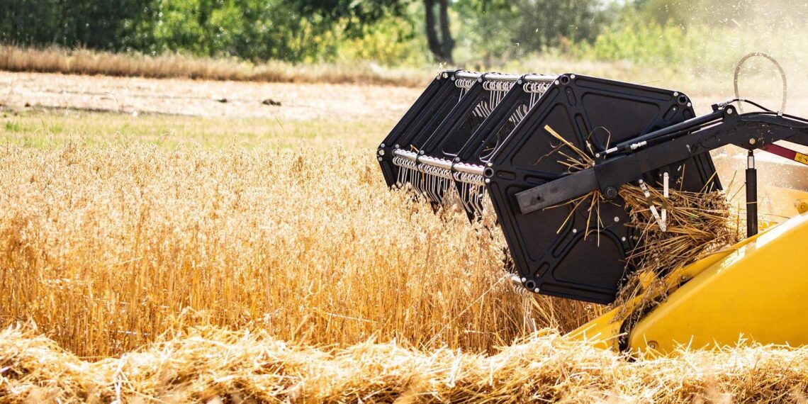 Zakaz wwozu ukraińskiego zboża wpłynie na ceny produktów? „Firmy muszą rozsądniej kupować”