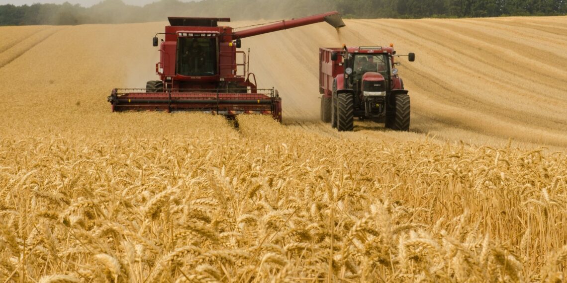 Na rynku światowym tanieje zboże. „To będzie miało wpływ na cenę różnych produktów”