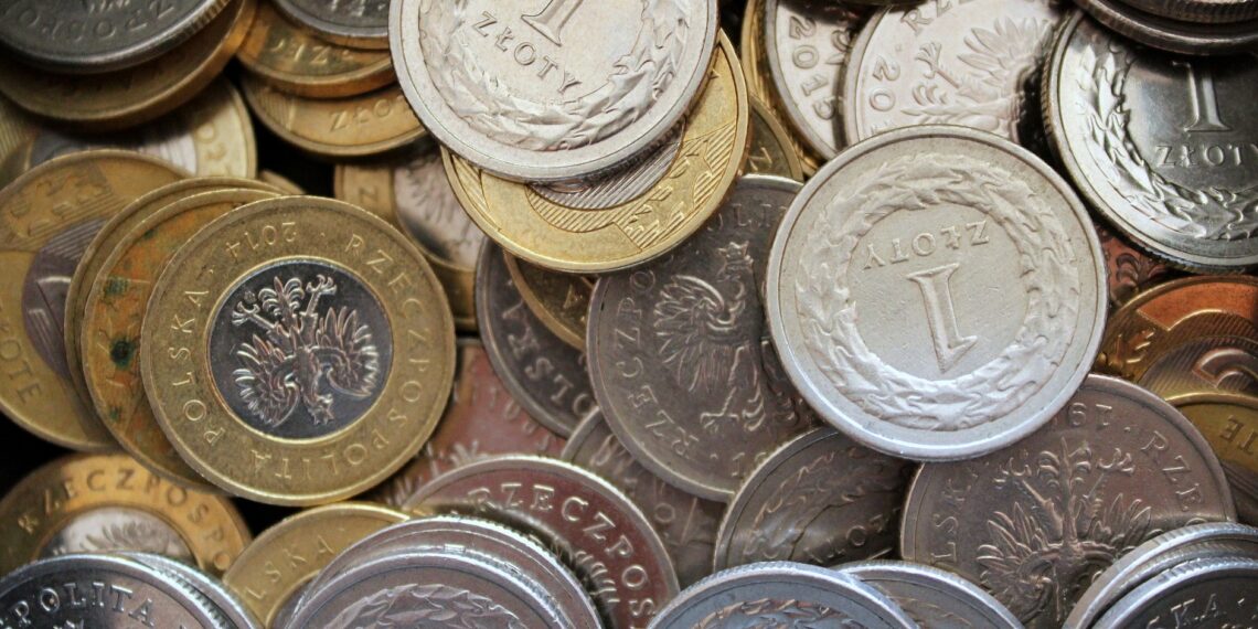 Wirtualna złotówka zastąpi gotówkę? „Państwo będzie mieć kontrolę nad pieniądzem”