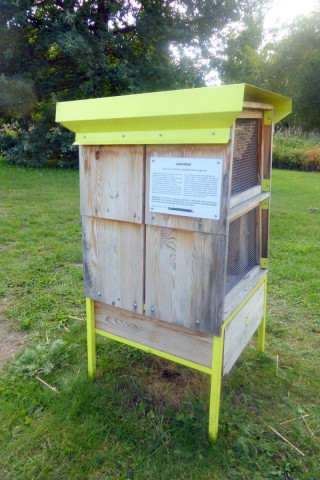 Zapylaj na strony Greenpeace i adoptuj pszczołę