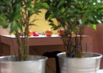 Jak zrobić komputerową myszkę z cytryny? – dowiesz się w Gdyni. Idea zrób to sam wraca w postaci DIY