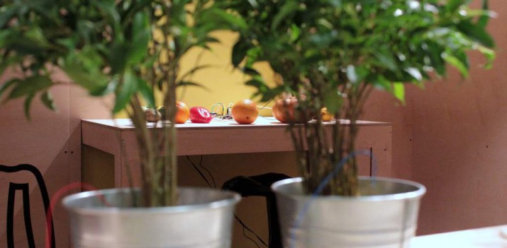 Jak zrobić komputerową myszkę z cytryny? – dowiesz się w Gdyni. Idea zrób to sam wraca w postaci DIY