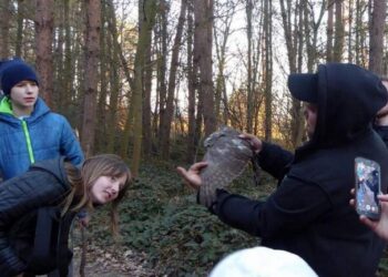 Spotkaj się z ornitologami. Akcja Bałtycka zaprasza na Piknik z okazji Światowego Dnia Ptaków Wędrownych