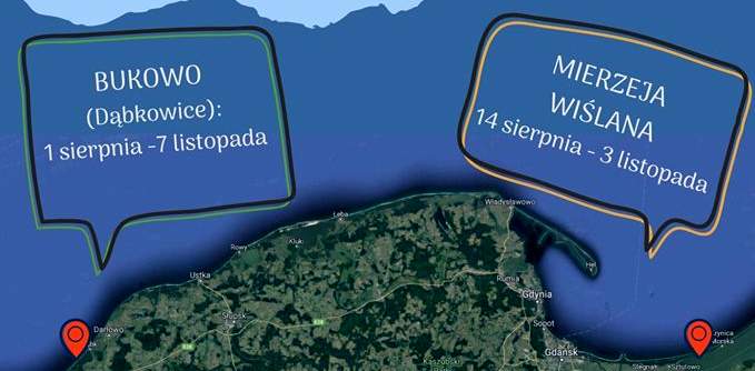 Wybierz się na obóz ornitologiczny. Akcja Bałtycka ma propozycję dla amatorów obserwowania ptaków