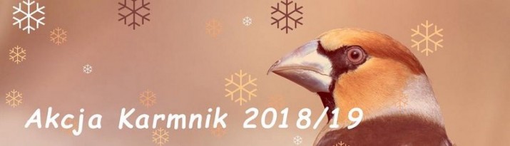 Akcja Karmnik i obrączkarskie ciekawostki w rozmowie z Sabiną Kaszak