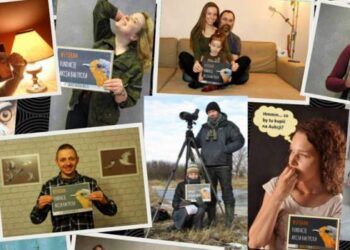 Aukcja dla Akcji – ornitolodzy wystawiają na Allegro ciekawe wycieczki