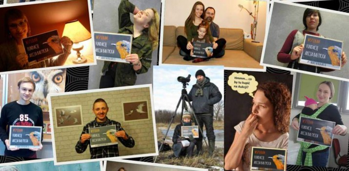 Aukcja dla Akcji – ornitolodzy wystawiają na Allegro ciekawe wycieczki