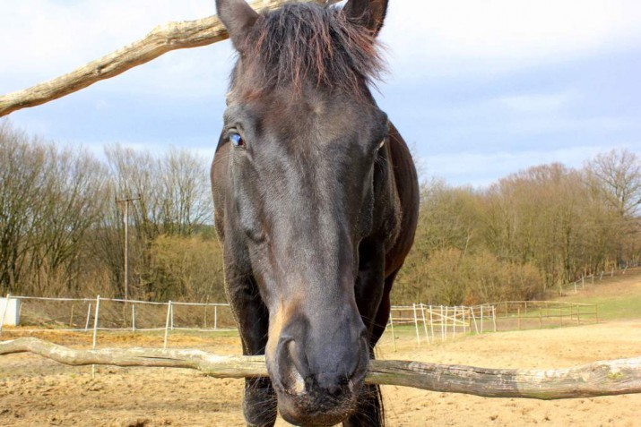 Babka jak jest każdy widzi. Wzbudza respekt, uznanie, wzruszenie