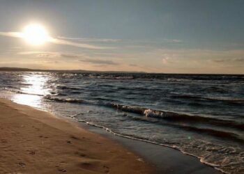 Polski Klub Ekologiczny i WebBaltica. Rozmowa z Tomaszem Rozwadowskim