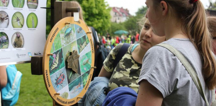 bioróżnorodność 1