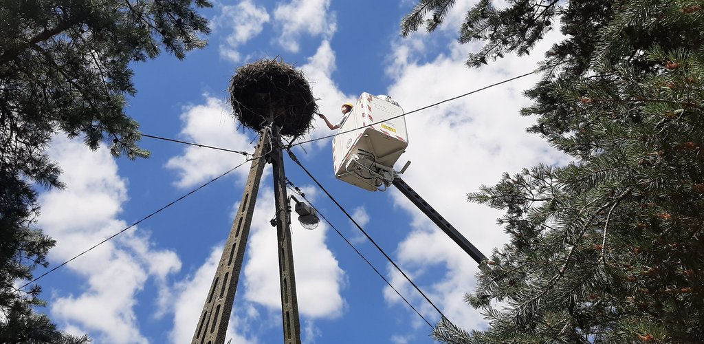 Wiesław Zbroiński: „Mam kota na punkcie bocianów, nic nie poradzisz”