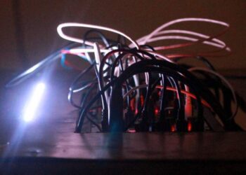 Patryk Chyliński gra na mięśniach szczęki, mrówkach i dżdżownicach. Taka ciekawostka czy sztuka?