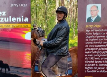 Zajęcia z wychowania fizycznego na grzebiecie konia? „To dobry pomysł”