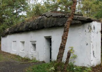 Można wybrać się na wycieczkę. Pasjonaci historii sprzątnęli nadmorskie bunkry w Gdańsku