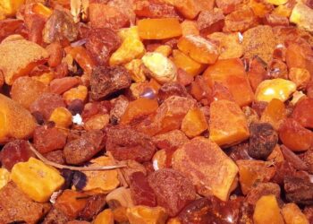 Zachwyca i leczy. Profesor Ewa Wagner-Wysiecka o kamieniu szczęścia, czyli bursztynie