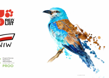 Nie do pomyślenia, gawrony i słowiki na czerwonej liście ptaków zagrożonych w Polsce