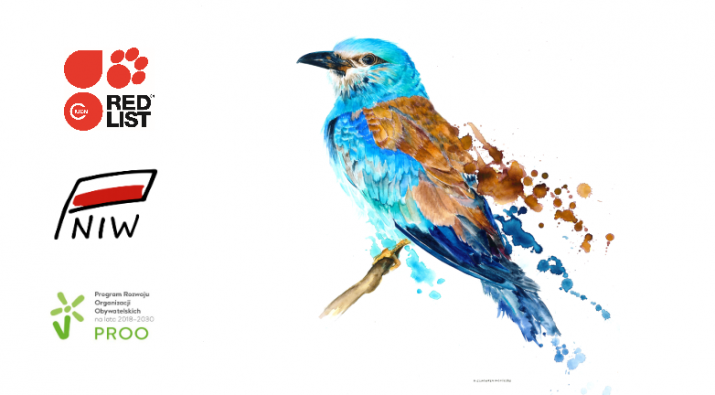 Nie do pomyślenia, gawrony i słowiki na czerwonej liście ptaków zagrożonych w Polsce