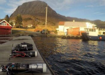 Rafał Dadej o podwodnym polowaniu z kuszą i kuszących podwodnych łąkach w Orłowie