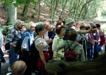 Dojrzały smak przygody – wycieczki przyrodnicze dla seniorów ciszą się dużą popularnością