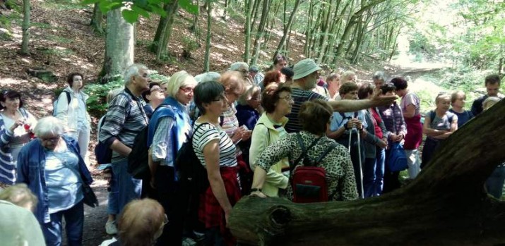 Dojrzały smak przygody – wycieczki przyrodnicze dla seniorów ciszą się dużą popularnością