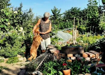 Ogród w Swarzewie – miejsce pełne wszelkiego życia