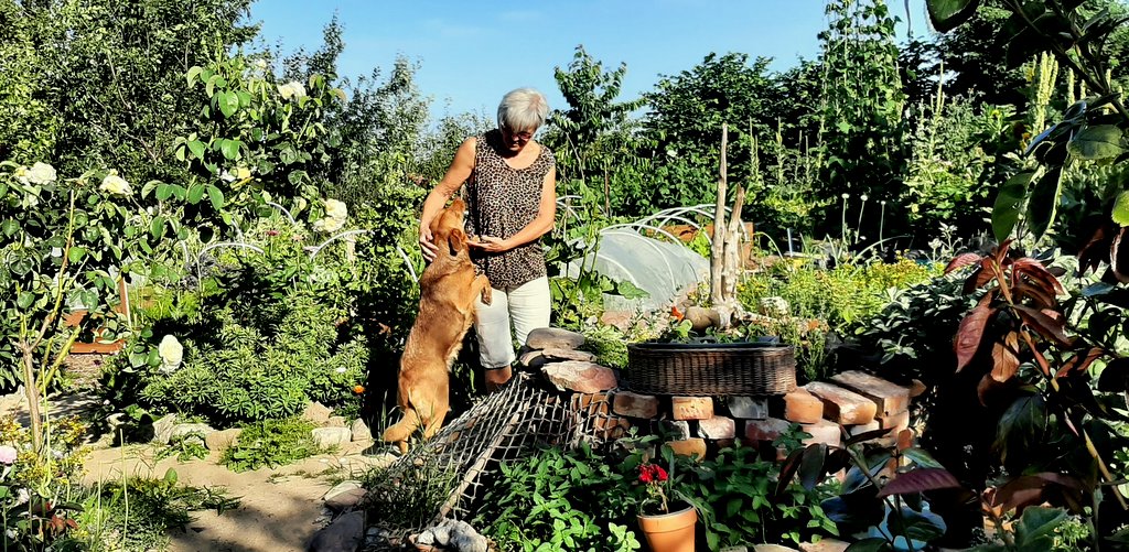 Ogród w Swarzewie – miejsce pełne wszelkiego życia