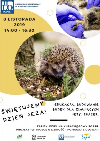 dzień jeża plakat 1