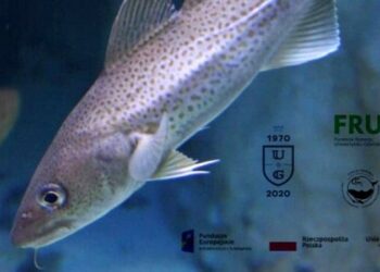 O rybach rozmawiamy i na Dzień Ryby do Helu zapraszamy