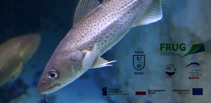 O rybach rozmawiamy i na Dzień Ryby do Helu zapraszamy