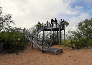 Ujście Wisły warte odwiedzenia i chronienia