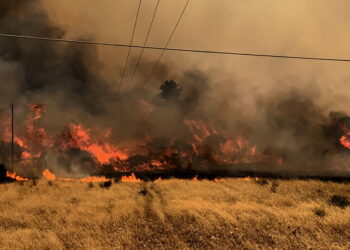 Pożary trawią kolejne tereny w Grecji. „Brak informacji dla turystów musi być katastrofalny”