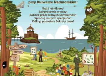 Owady – interesujące hobby leśnika, bo ciekawe rzeczy można znaleźć dosłownie pod nogami