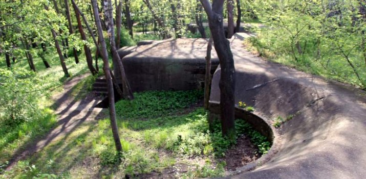 Fortyfikacje w Brzeźnie. Wysprzątane, ale czy z nimi można zrobić coś jeszcze? Marzenia miłośnika umocnień
