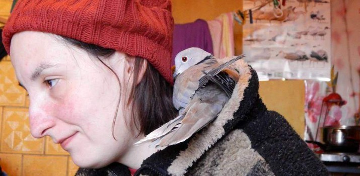 Maria i Patryk mają gołębia w łóżku i mają na szafie czyli dlaczego warto pomagać ptakom