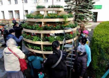 Growroom – duński zielony projekt stanął na gdańskim skwerze