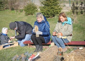 Niech żyją murarki – dzikie pszczoły samotnice. Kamila robi sąsiedzki spontan dla owadów