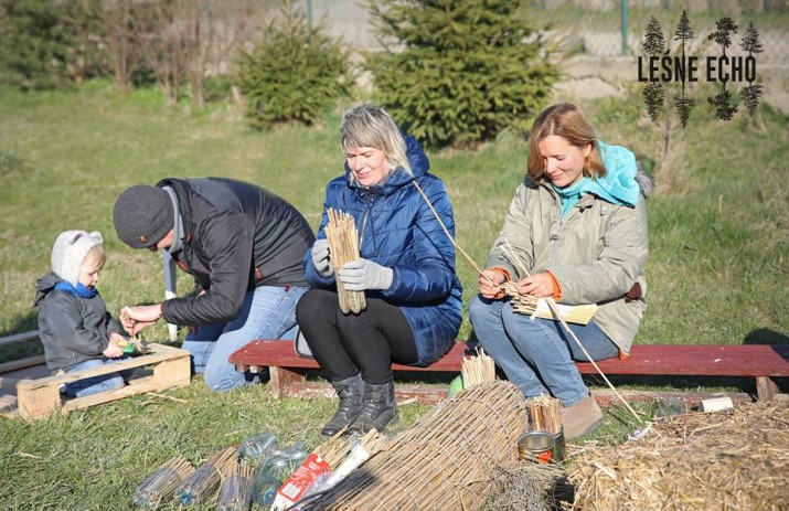 Niech żyją murarki – dzikie pszczoły samotnice. Kamila robi sąsiedzki spontan dla owadów