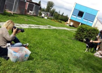 Taki fakt, że dla Pani fotograf ważny jest pies, kot i kobiecy akt