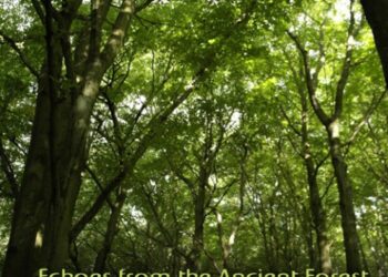 Czy spełni się jej marzenie? Niewidoma obserwatorka ptaków chce nagrywać papugi w Amazonii