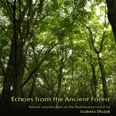 Czy spełni się jej marzenie? Niewidoma obserwatorka ptaków chce nagrywać papugi w Amazonii