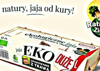 Karton z trawą i słomą bardziej przyjazy dla środowiska. Innowacyjne opakowania z Gdańska