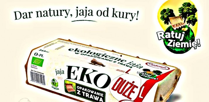 Karton z trawą i słomą bardziej przyjazy dla środowiska. Innowacyjne opakowania z Gdańska