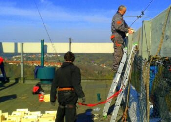 Jerzyki – coraz bardziej lubiane w spółdzielniach