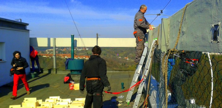 Jerzyki – coraz bardziej lubiane w spółdzielniach